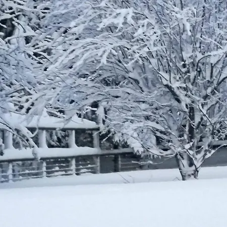 Maison Rénovée En Pierre, Animaux Acceptés, Proche Bagnoles-de-l'orne - Fr-1-497-222 *