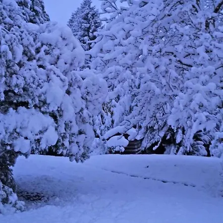 Maison Renovee En Pierre, Animaux Acceptes, Proche Bagnoles-de-l'orne - Fr-1-497-222 Σπίτι διακοπών
