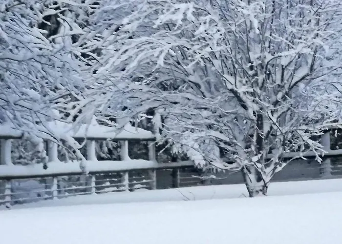 Maison Rénovée En Pierre, Animaux Acceptés, Proche Bagnoles-de-l'orne - Fr-1-497-222 *
