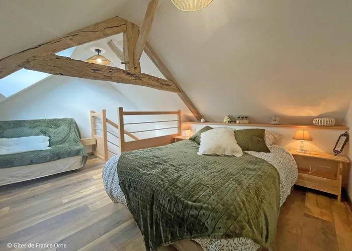 Maison Rénovée En Pierre, Animaux Acceptés, Proche Bagnoles-de-l'orne - Fr-1-497-222 * La Coulonche